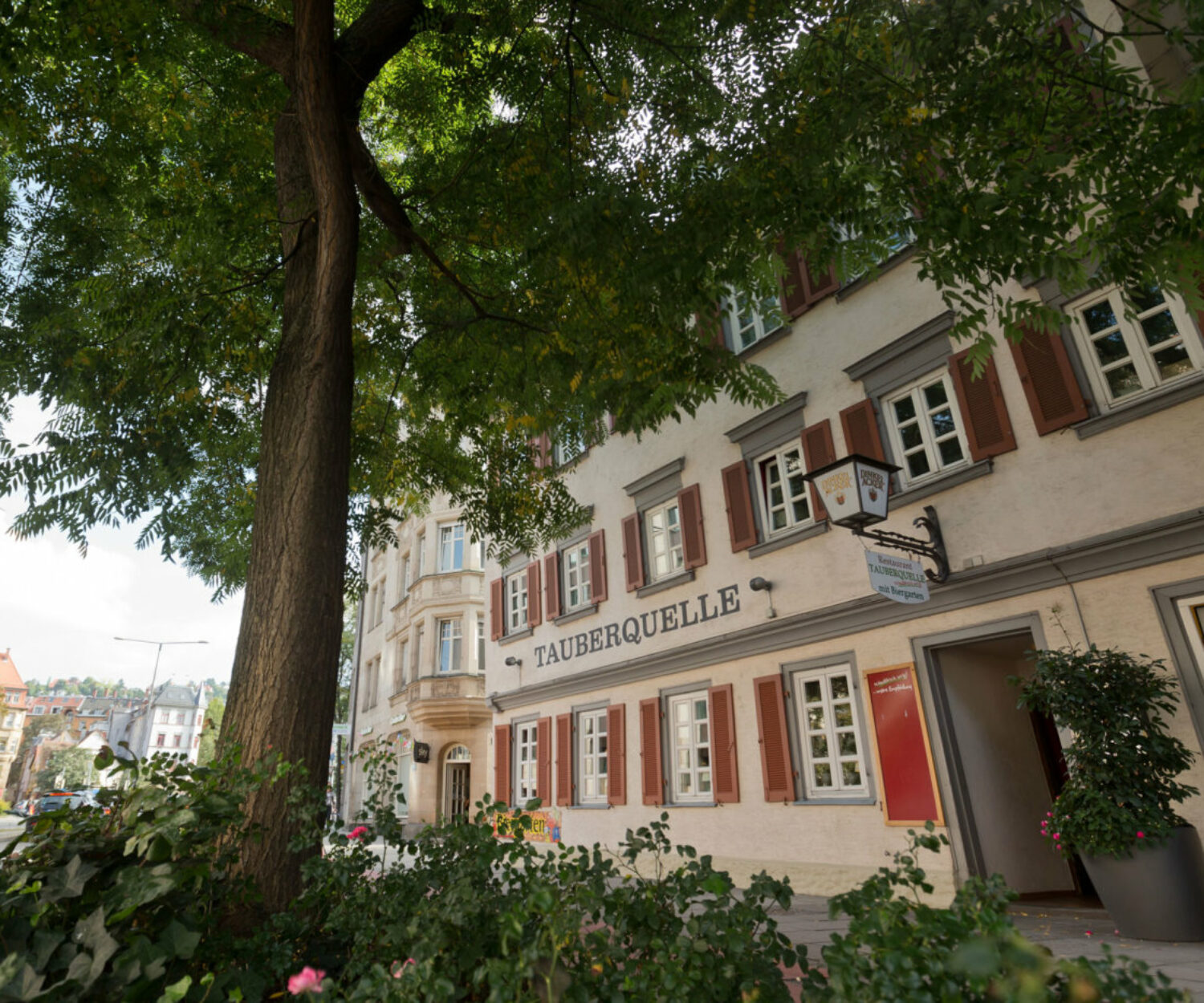 Schwäbische Weine 2021 einzigartig in Stuttgart