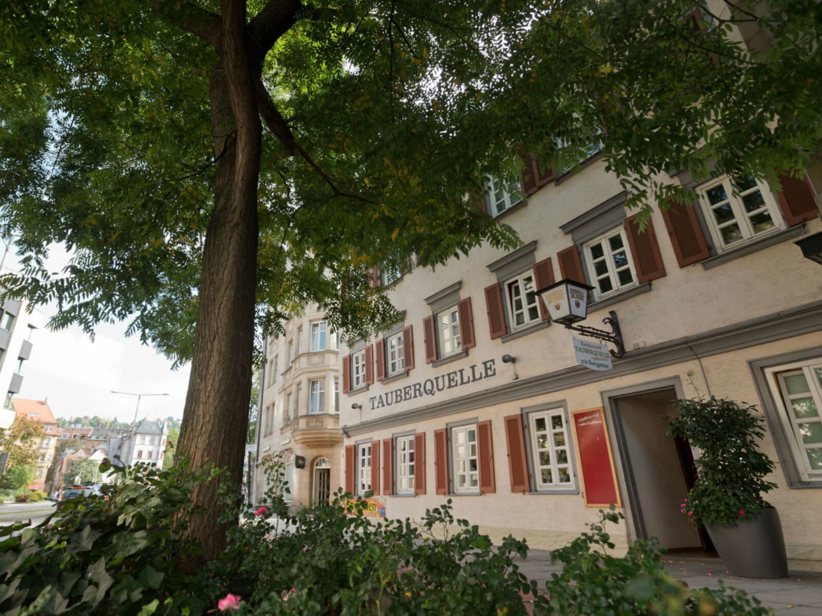 Spargel essen Stuttgart ︎ einzigartig ︎ der beste Spargel